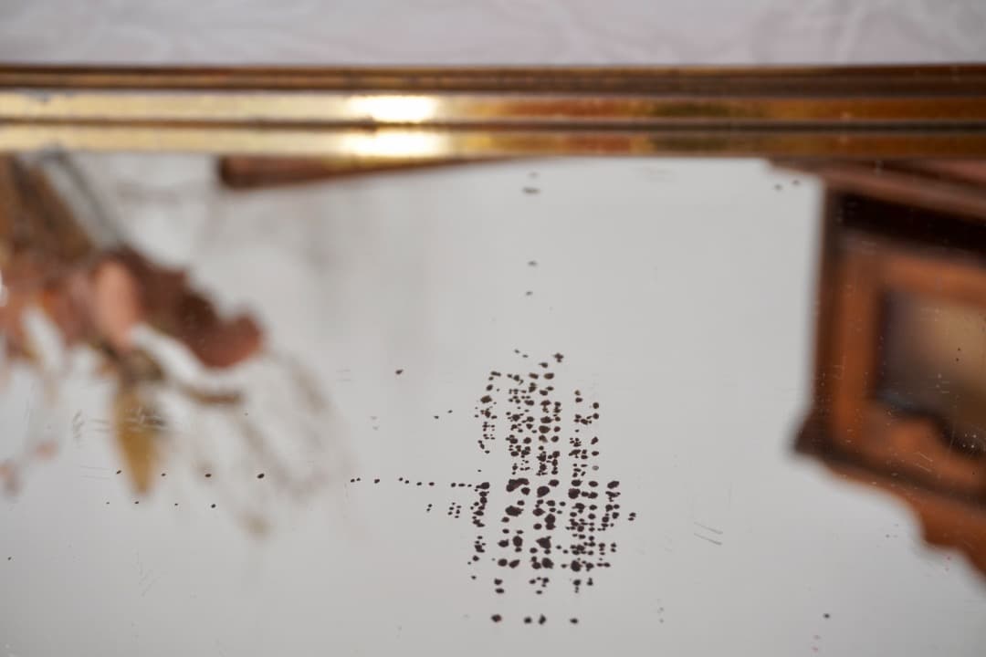 フランス アンティーク ミラートレイ 1930年頃