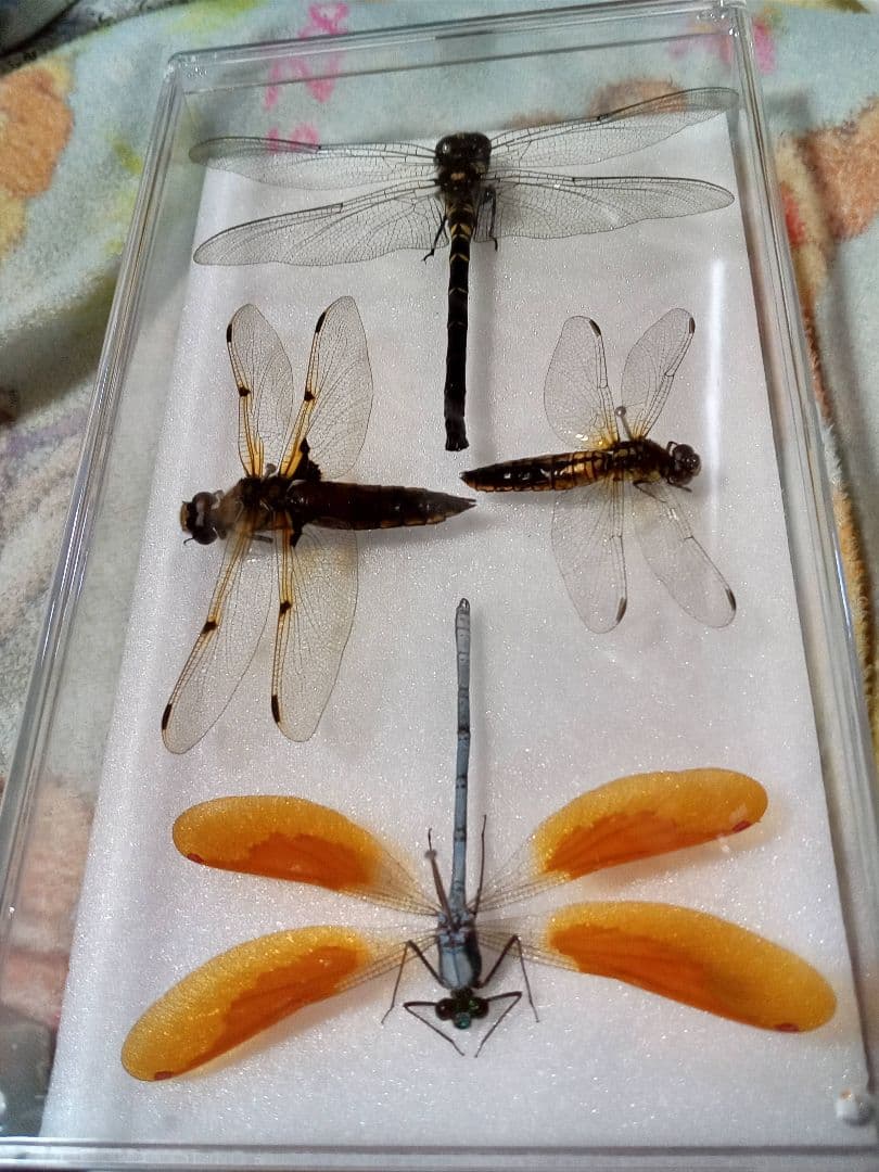 専用。4点まとめ買い商品。