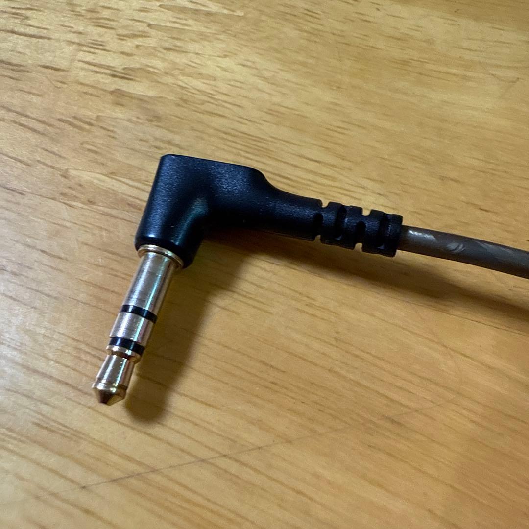 イヤホン Sennheiser ie900