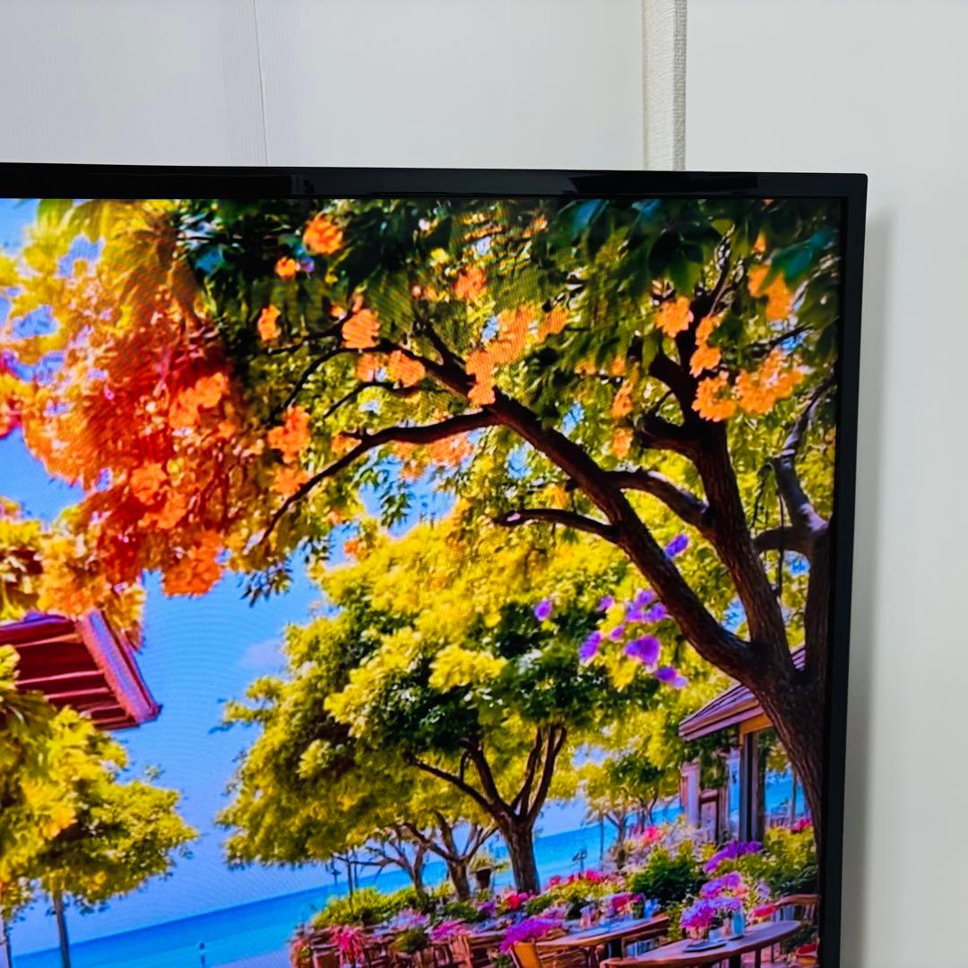 東芝 50インチ液晶 50M500X