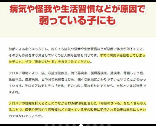 世界初！日本先行販売　ペット用テロメアのサプリ　普段のご飯に混ぜるだけ　1缶