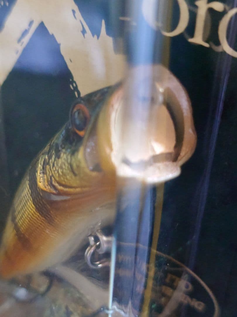 メガバス ito ポップX オールド'98 GGピーコック 新品未開封