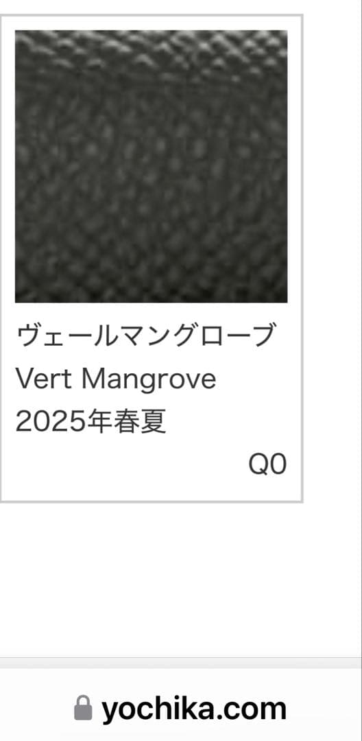 エルメス　エブリン　アマゾーヌ　新色　K刻印　バンドリエール　カヴァル　入手困難