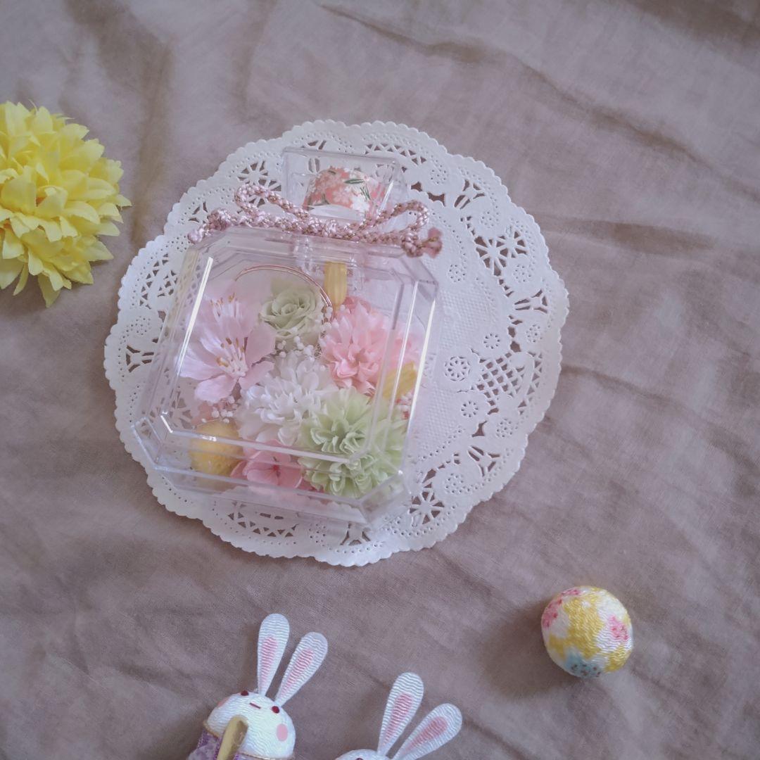 lil Lily☆