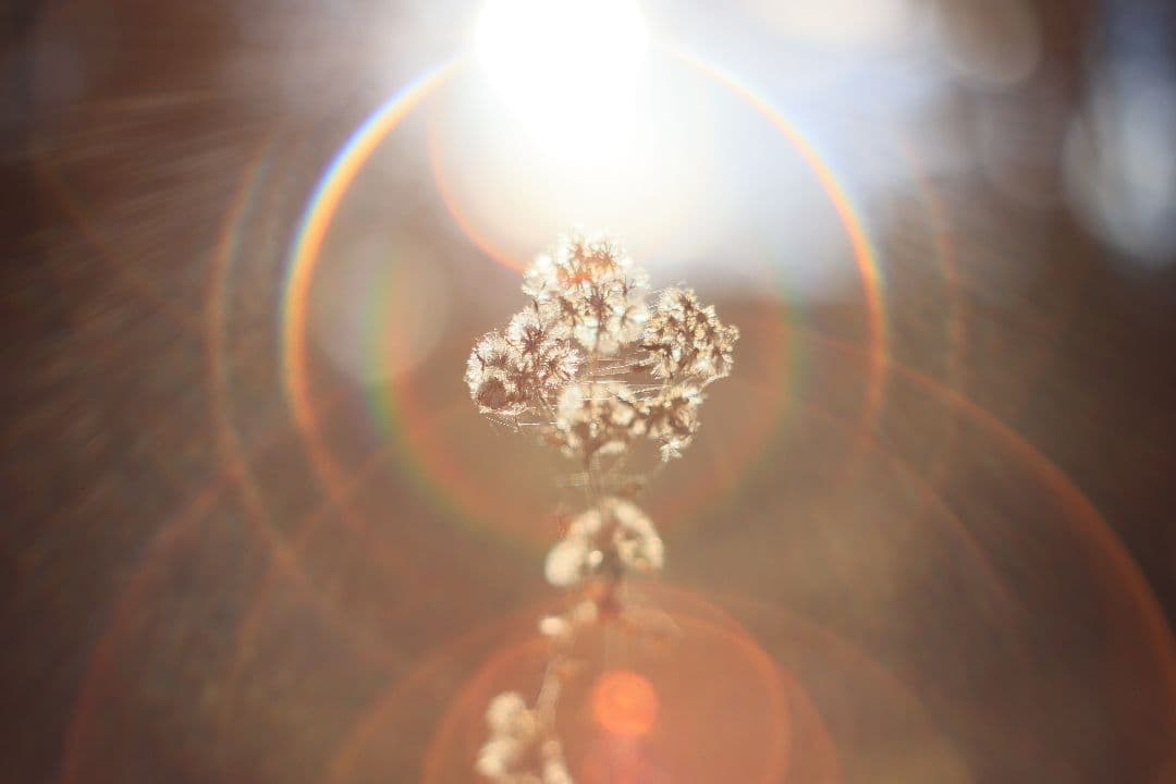 Super-Takumar 55mm F1.8 後期型 S/N：3686963