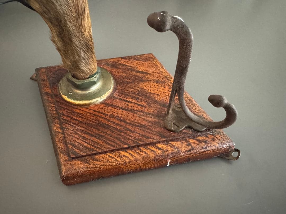 アンティーク★ 鹿足壁掛け　ウォールハンガー　undercover