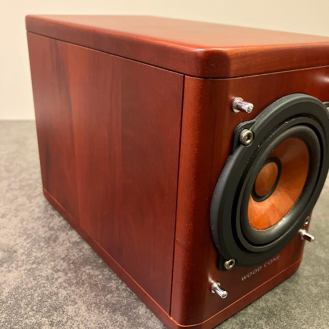 Victor ビクター ウッドコーンスピーカー SP-EXA1