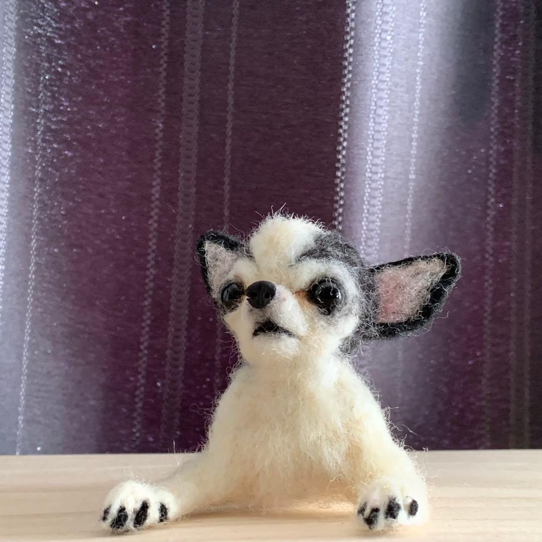 羊毛フェルト　チワワ　エリック様