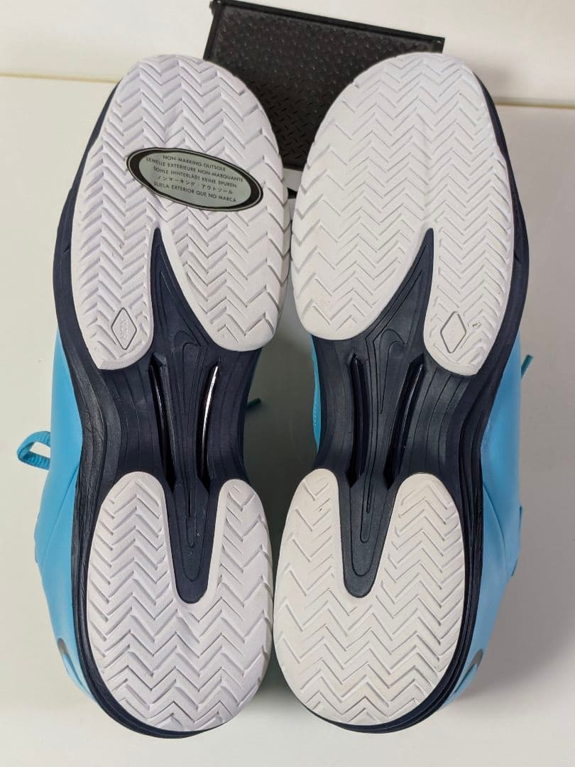 新品 NIKE ナイキ　LUNA BALLISTEC 1.5 LG　２９ ブルー