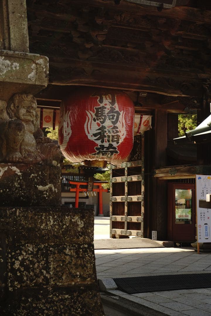 SONY α6000美品 ミラーレスカメラ - WHITE