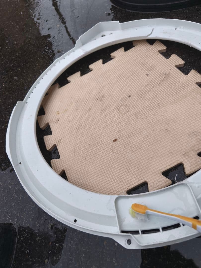 関東限 23年 分解清掃済 条件で無料配 東芝 洗濯機 縦型洗濯機