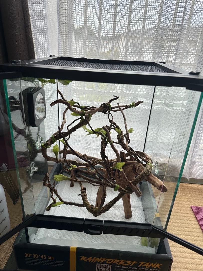 その他 deko_cherry