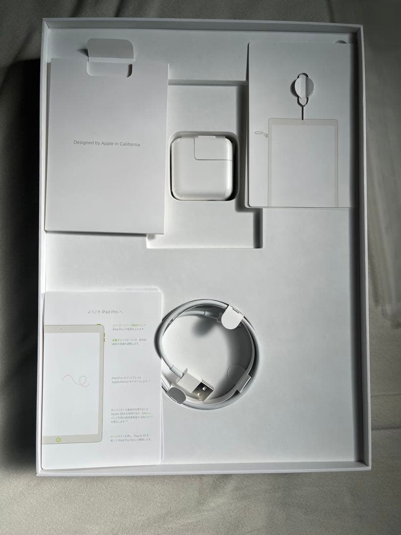 iPad pro 12.9インチ 第2世代 256GB セルラーモデル