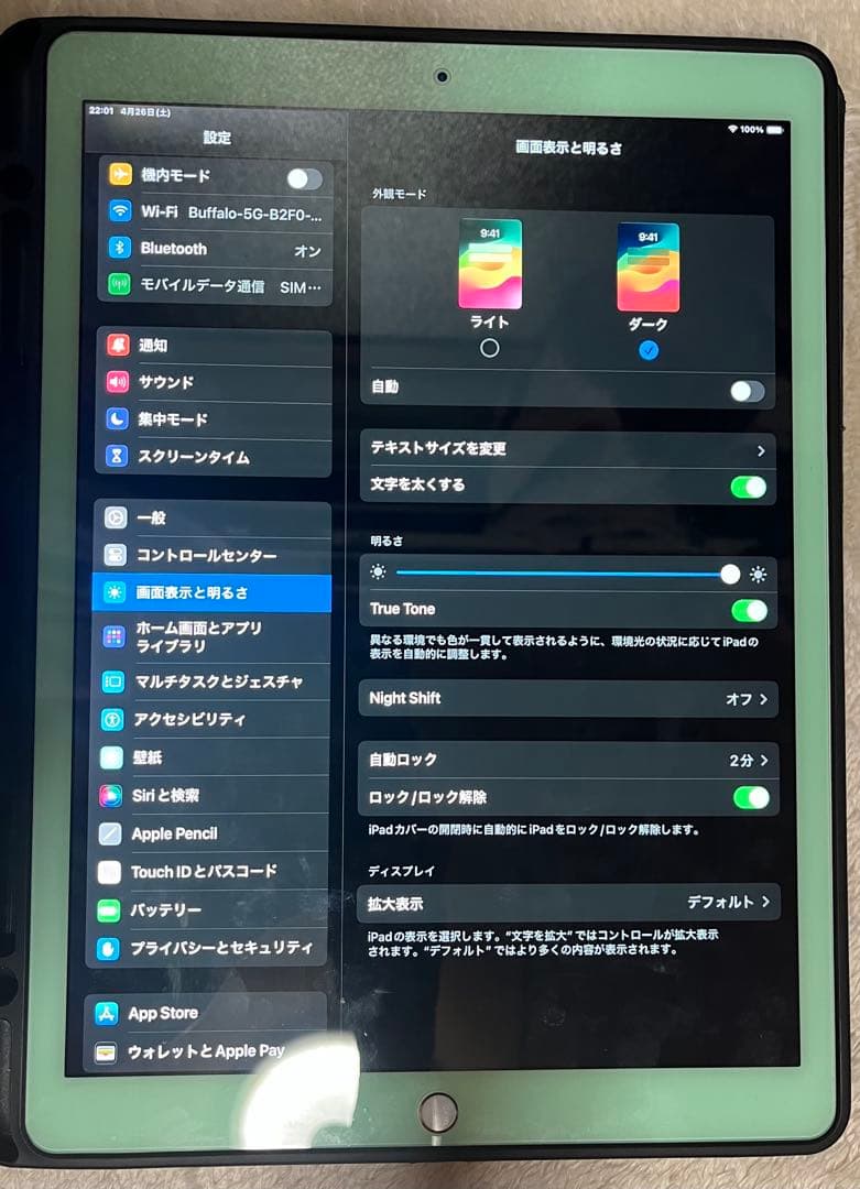 iPad pro 12.9インチ 第2世代 256GB セルラーモデル