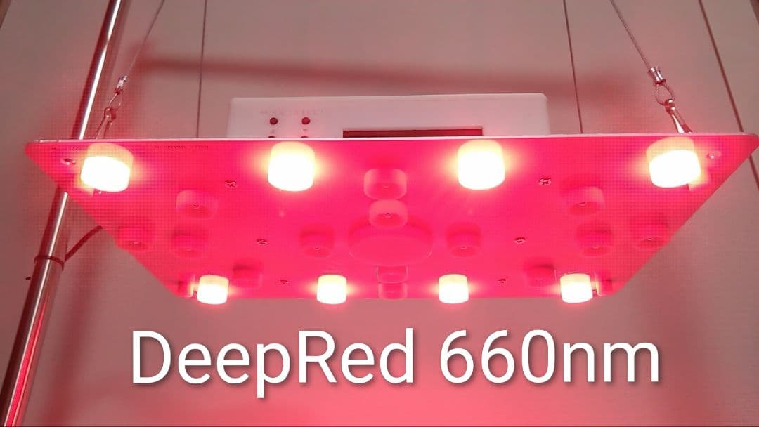 【L10W】多肉&塊根育成　水槽照明　タイマー付LEDライト（DC専用）