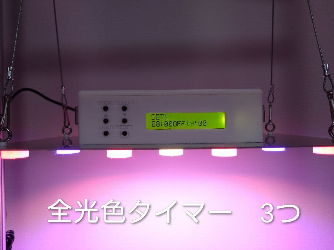 【L10W】多肉&塊根育成　水槽照明　タイマー付LEDライト（DC専用）