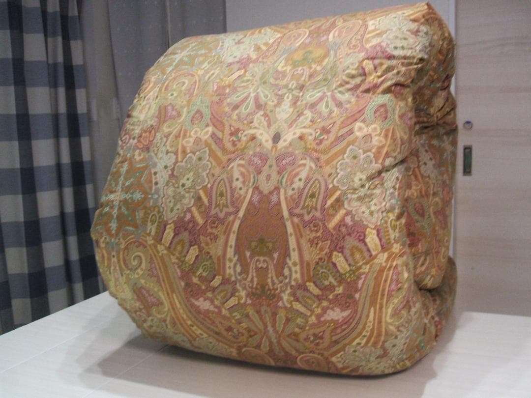 ２点ペア価格専用！新品【六つ星】ブラック ＊フランス９５％＊二層式高級羽毛布団