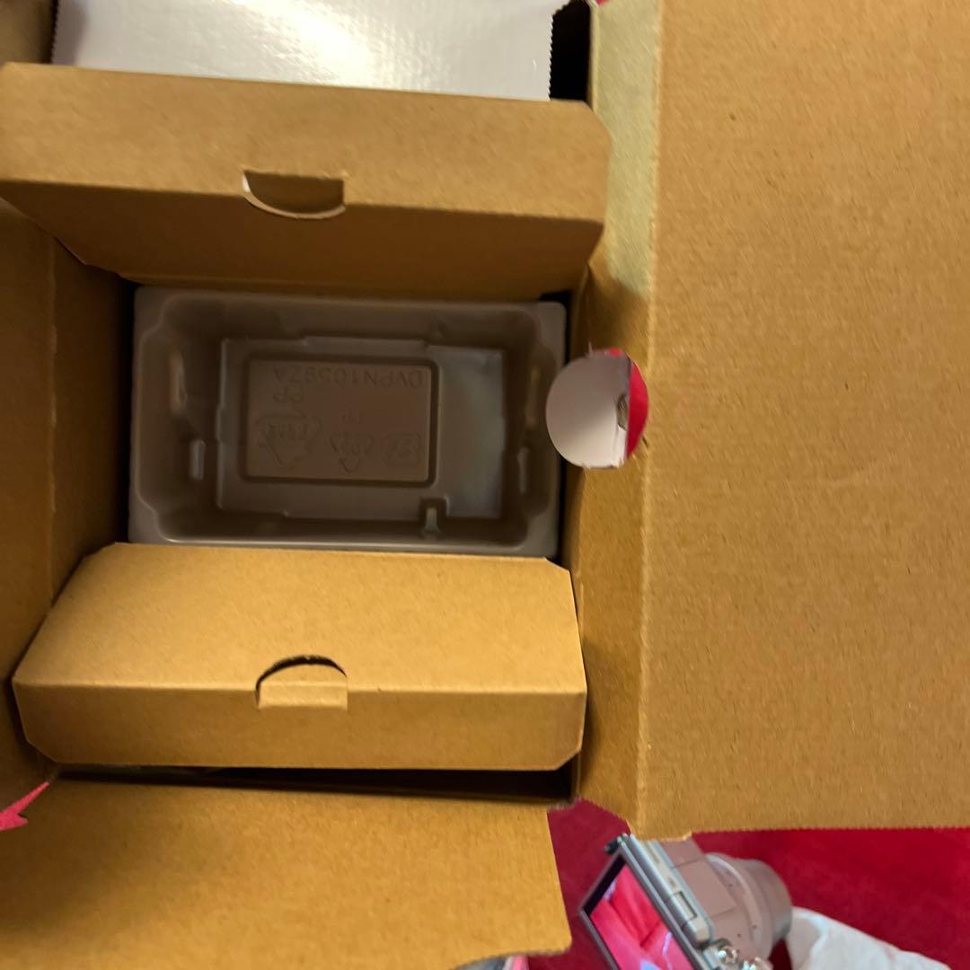 最終値下げ価格　Panasonic DC-GF10W