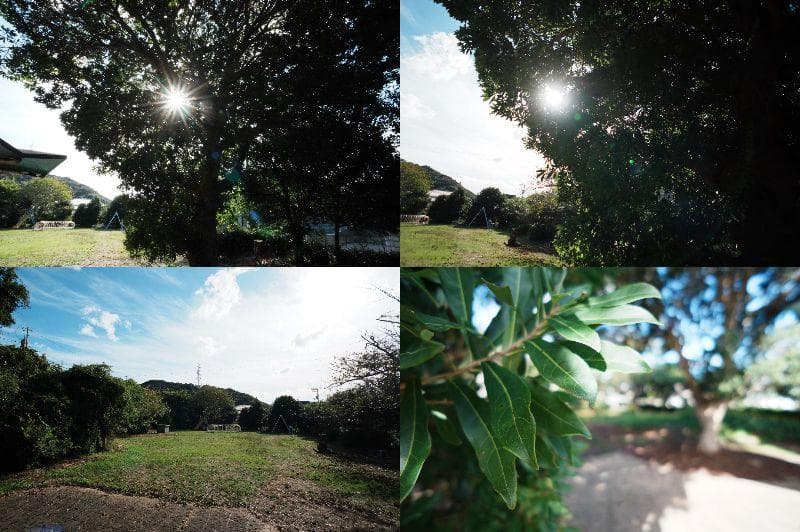 超広角＆魚眼セット　SONY SEL16F28+ワイド、フィッシュコンバーター