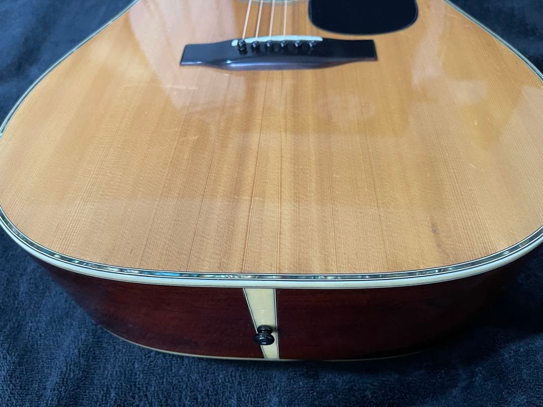 TF Morris W-60 83年製 縦ロゴ ハカランダ ハードケース付属