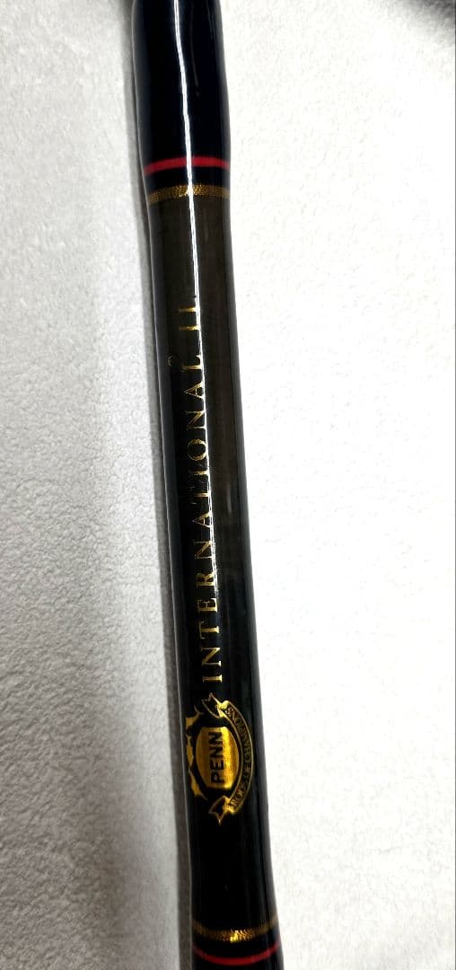 ペン　インターナショナル2　ロッド 80lb