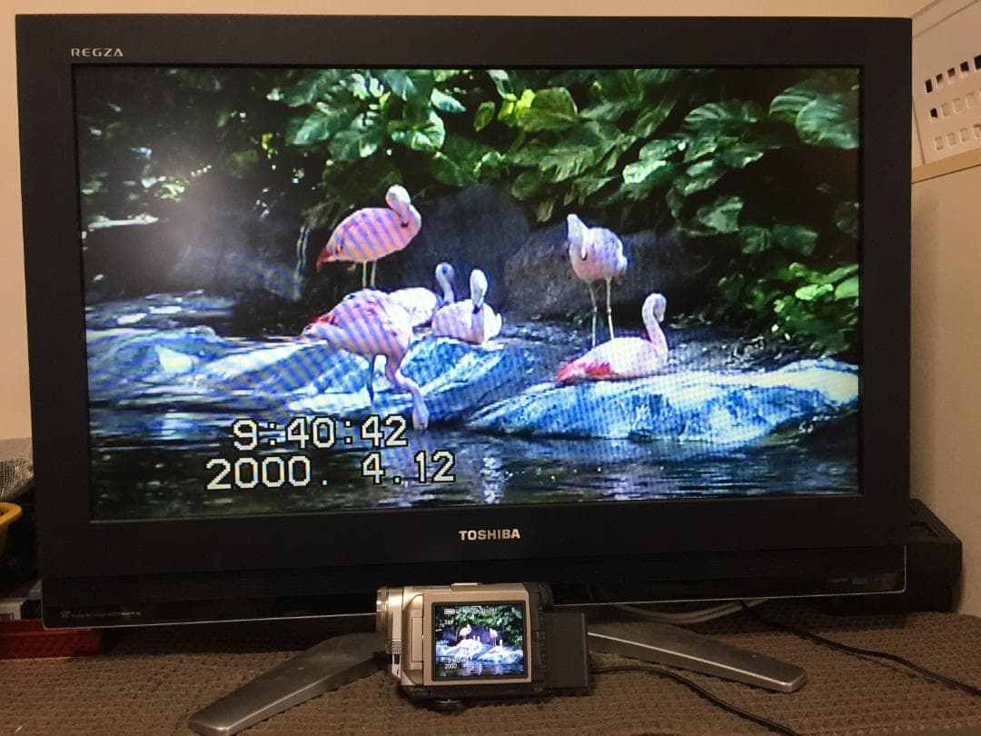 撮影再生ダビングOK　Panasonic　NV-DS200　付属品有　液晶大画面