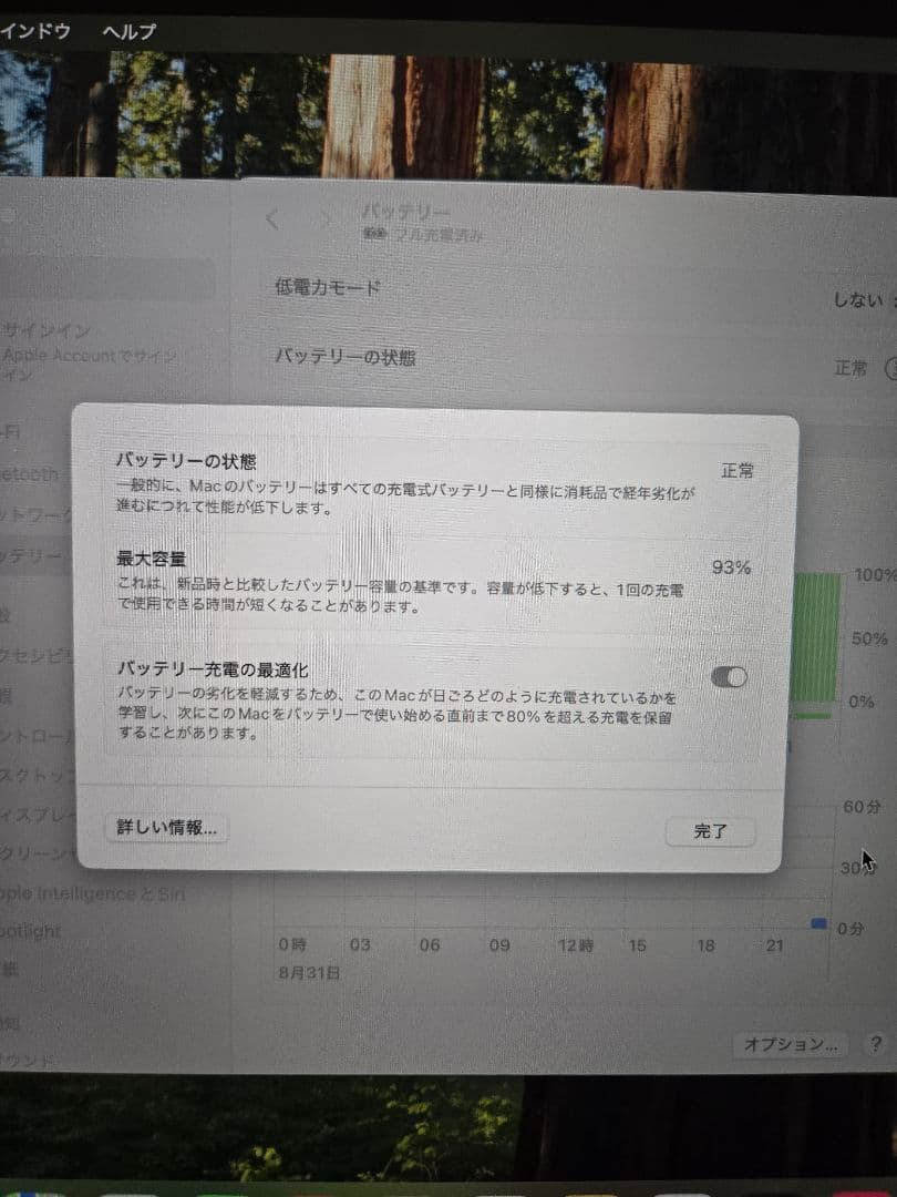 極美品　Apple MacBook Pro 13インチ M1 2020 8GB