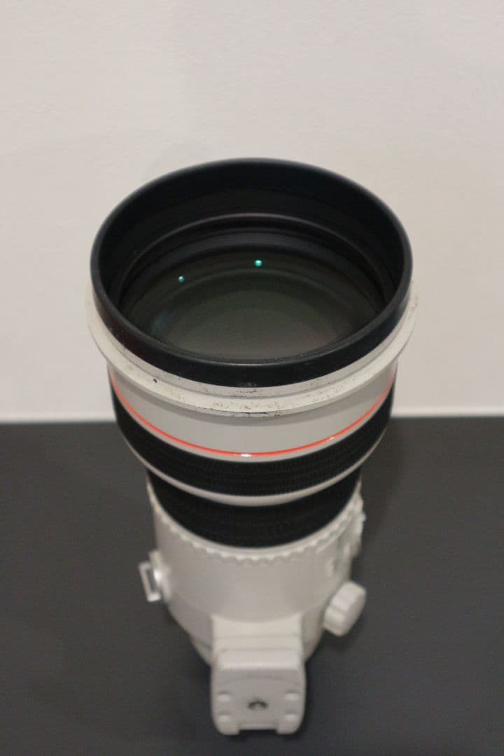 レンズ(単焦点) Canon EF300mm 1:2.8L ULTRASONIC