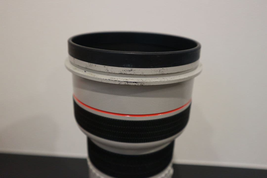 レンズ(単焦点) Canon EF300mm 1:2.8L ULTRASONIC