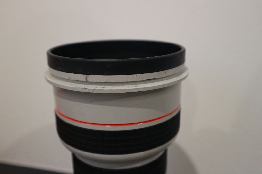 レンズ(単焦点) Canon EF300mm 1:2.8L ULTRASONIC