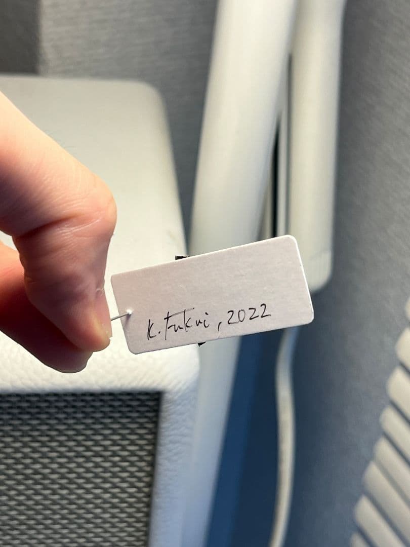 【極美展足】ムラサキケブカフトタマムシ スハンダエ プラチナコガネコブハムシ標本