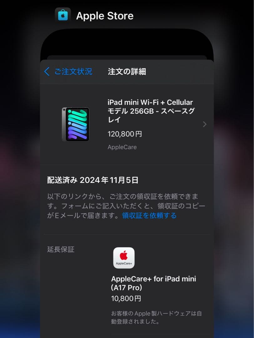 iPad本体 Apple iPad mini 7 Wi-fi+cellular 256GB