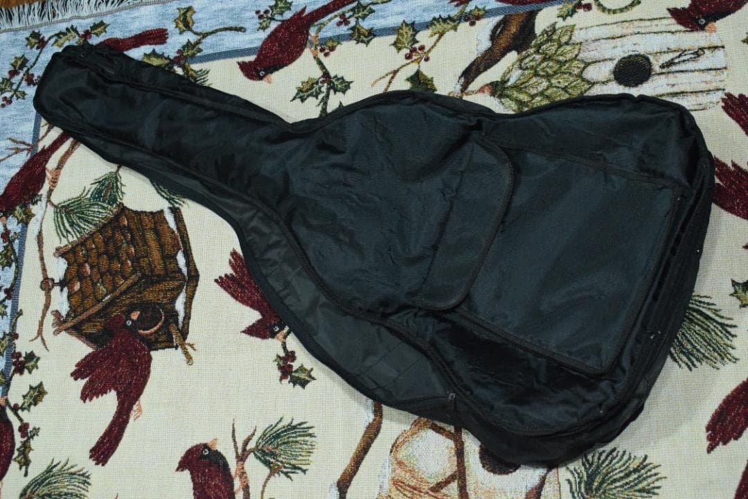 Aria Meister AMS-01BS アコギ