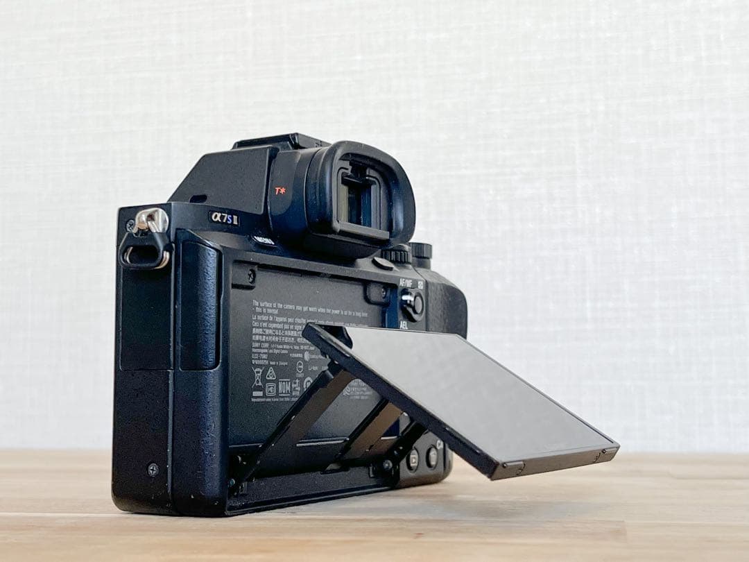 α7sⅡボディ+他付属品充実　中古