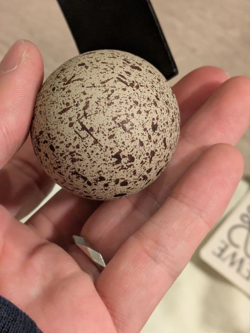 loewe　ロエベ　卵　キーリング