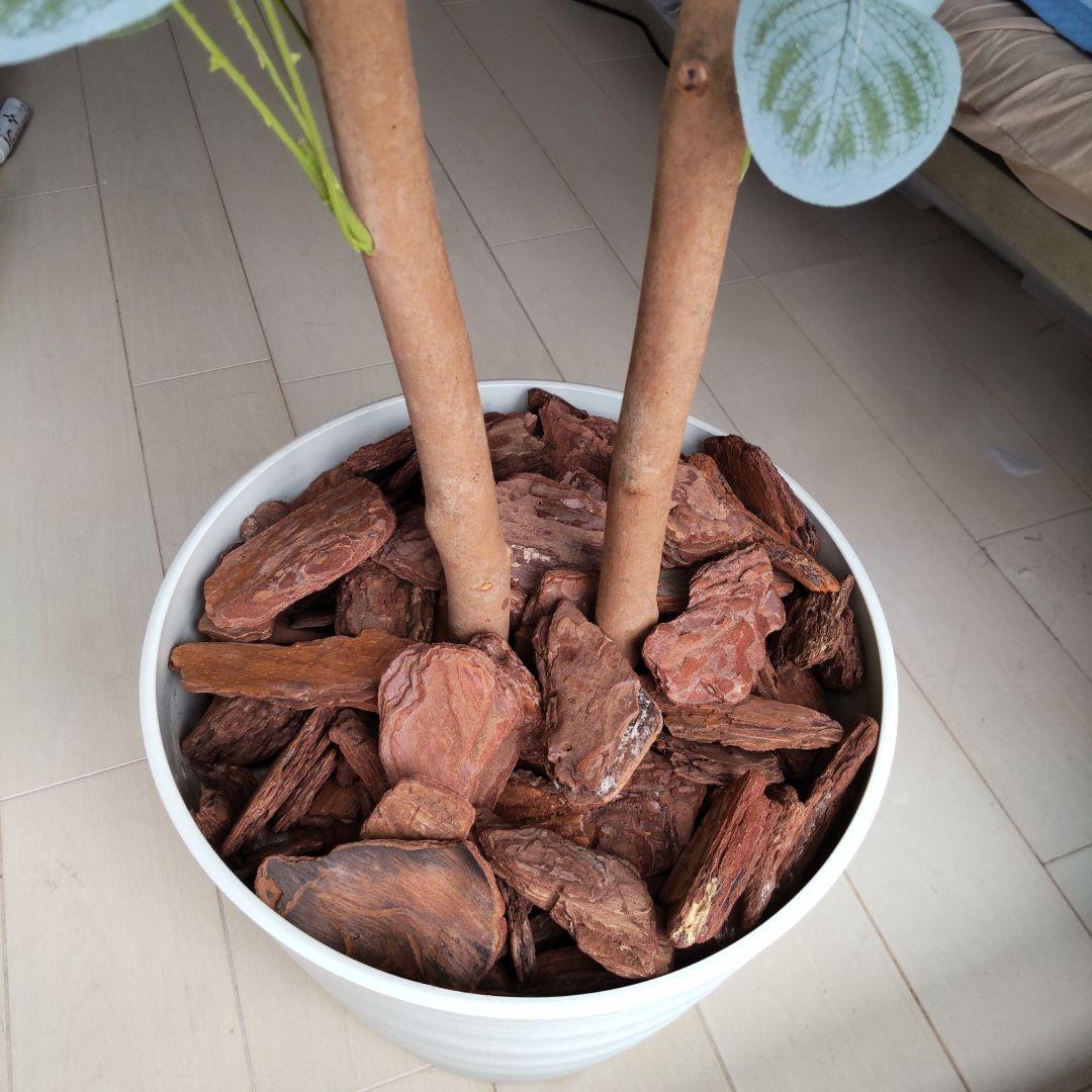 ユーカリの木130cm タイプ！銀丸葉 ！ 大型フェイクプランツ！ 未使用！