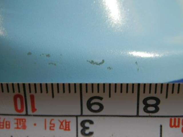 SALVADOR DALÍ N.1 1970　サルバドール ダリ