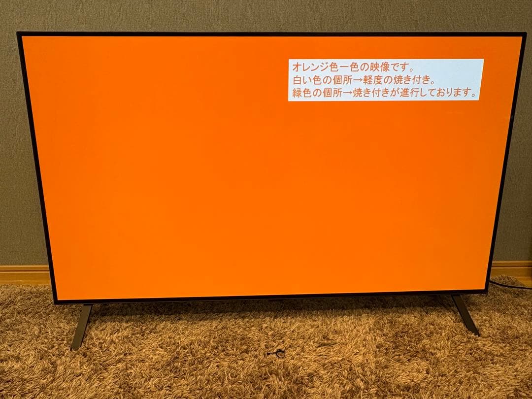 【動作確認済】LG有機EL48型 OLED48A2PJA 2022 年モデル