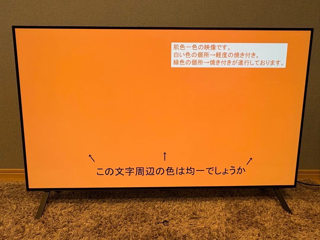 【動作確認済】LG有機EL48型 OLED48A2PJA 2022 年モデル