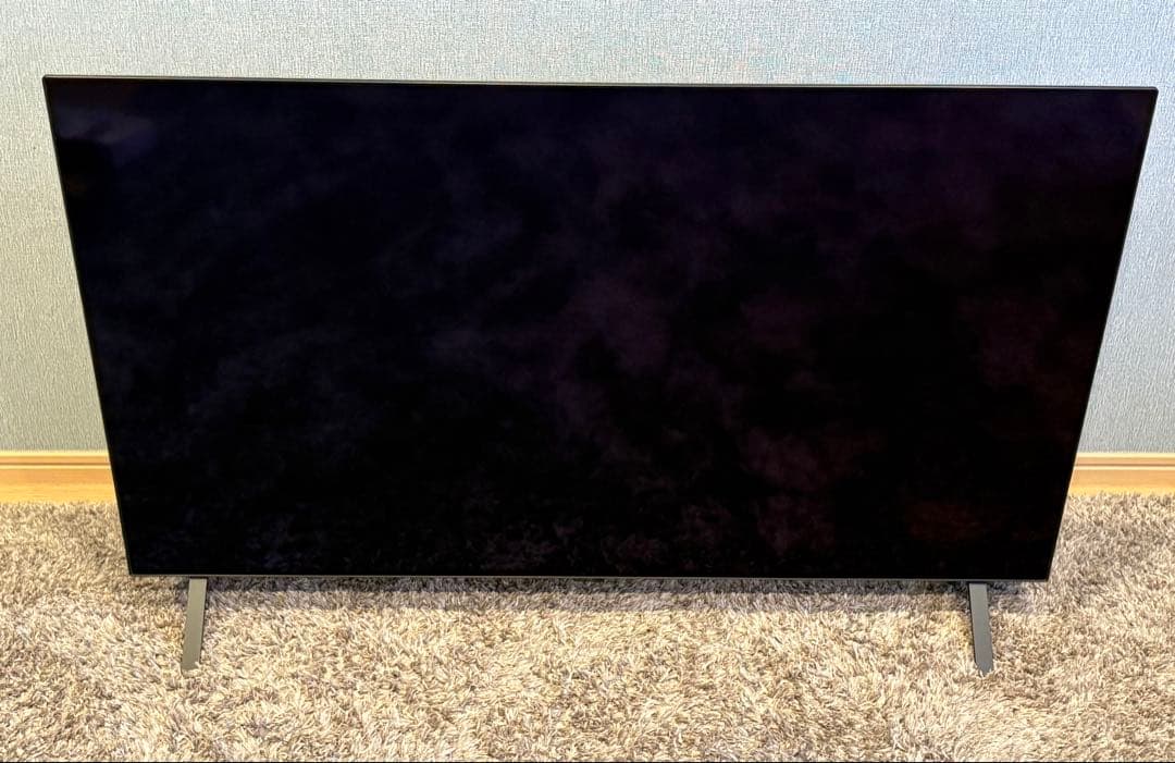 【動作確認済】LG有機EL48型 OLED48A2PJA 2022 年モデル