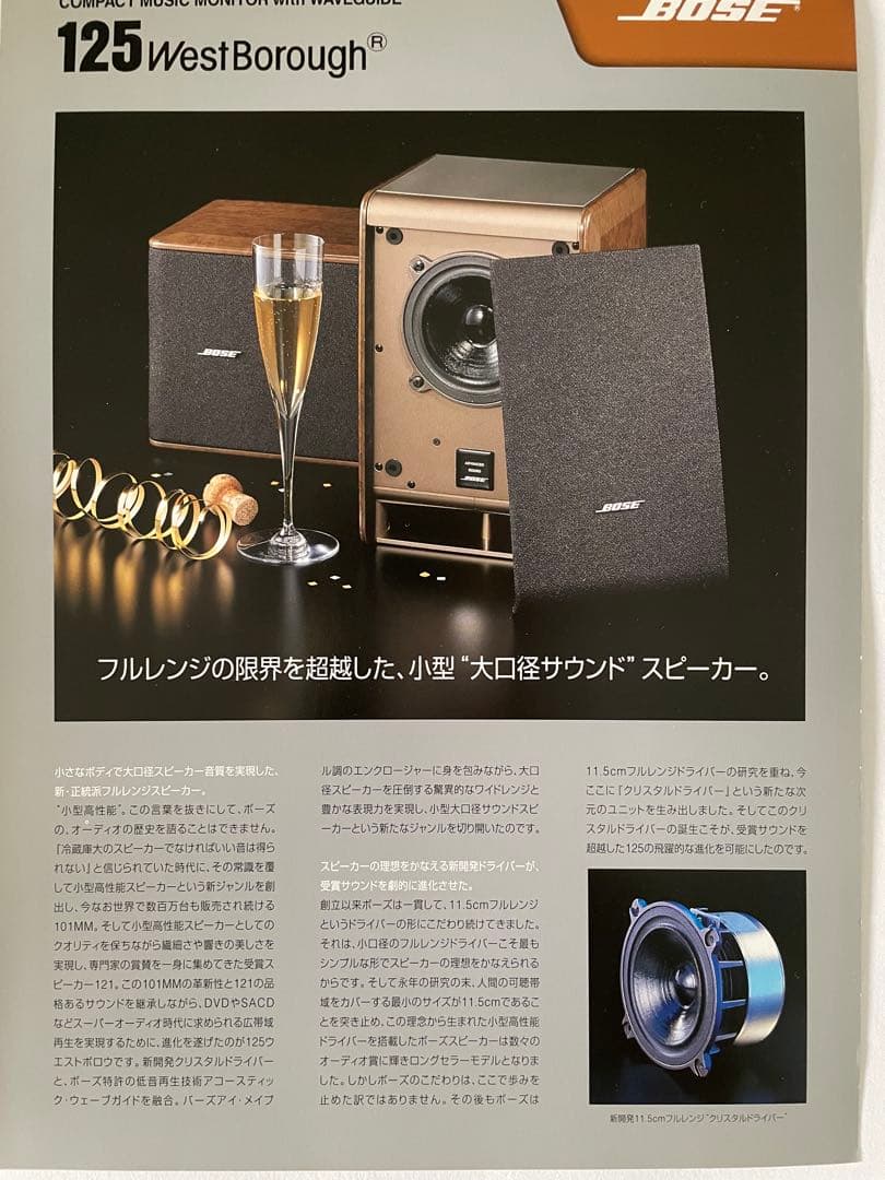 美品BOSE ペアスピーカー 125 アドバンスサウンド システム