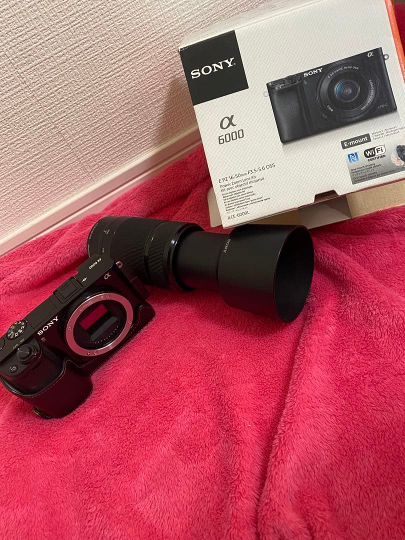 SONY α6000 E 18-200mm レンズ付き