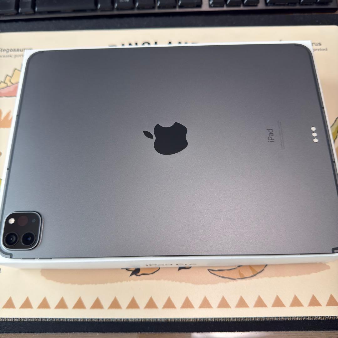 iPad Pro 11インチ 第3世代 128GB セルラー スペースグレイ