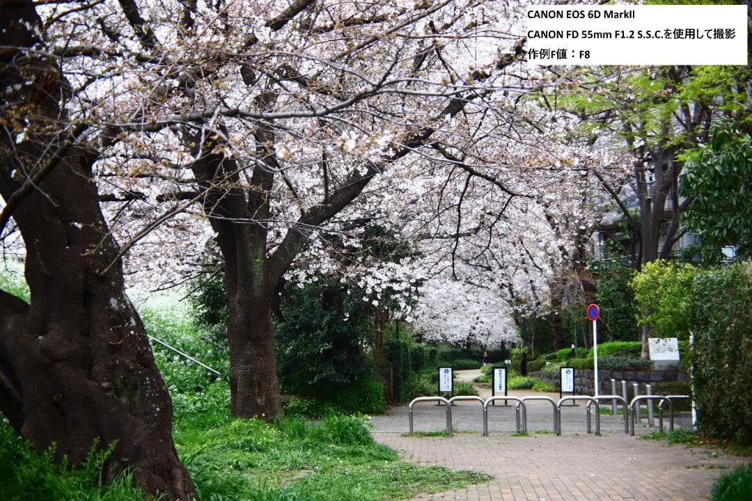 【動作OK】キヤノン CANON FD 55mm F1.2 S.S.C.