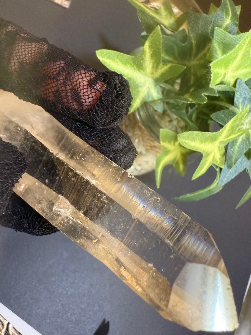 第２弾Special rank Bigピンクレムリアンシード