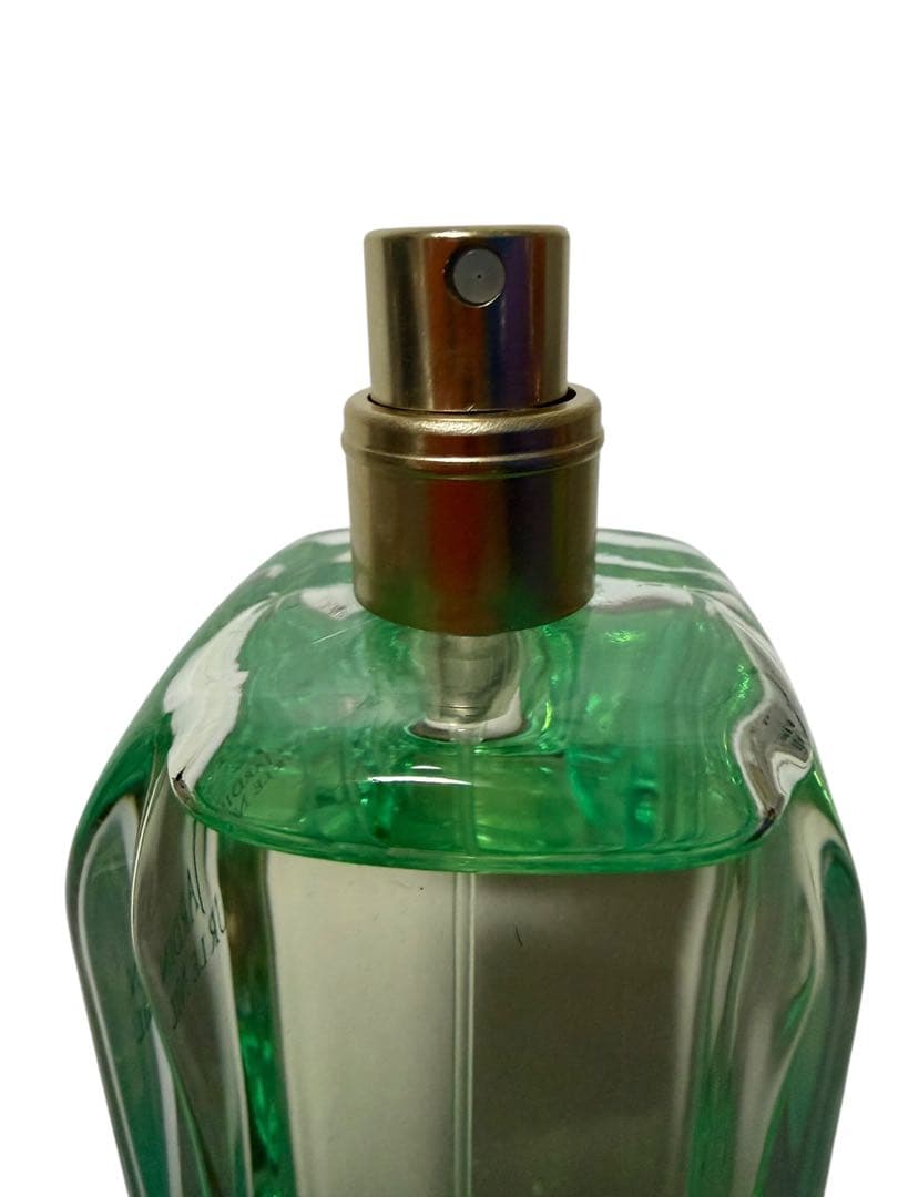 エルメス HERMES ナイルの庭　香水　オードトワレ 100ml (L)