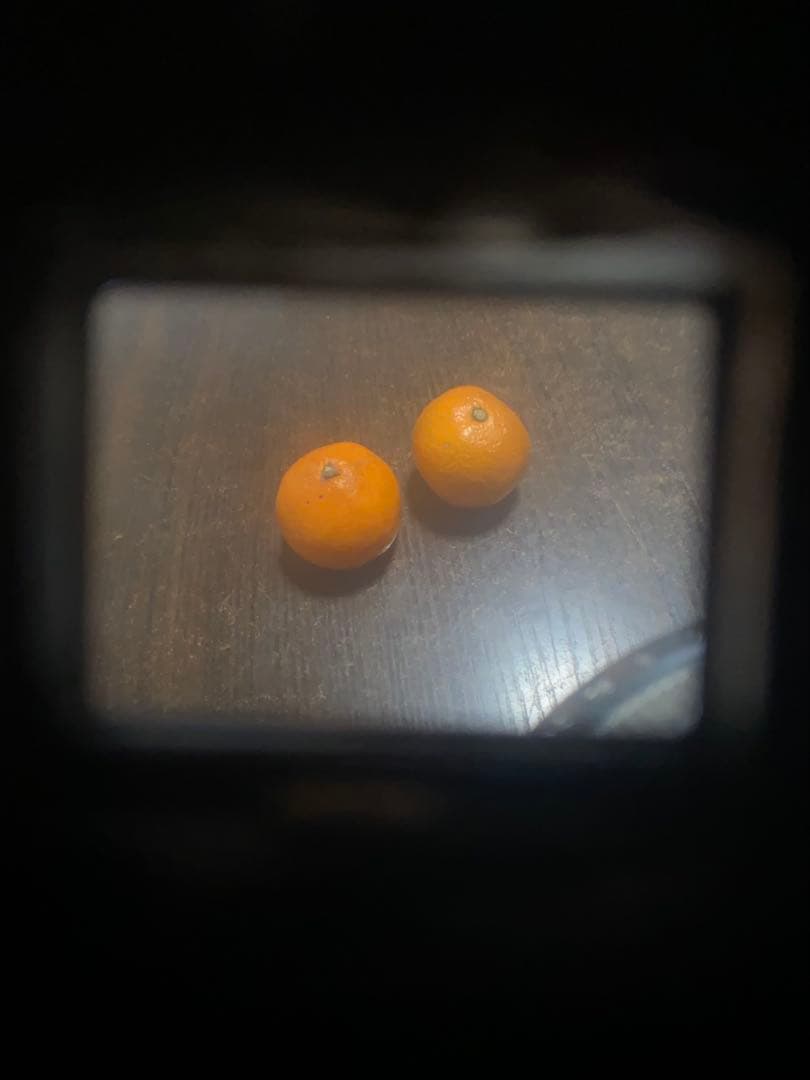 動作品MINOLTAミノルチナS f1.8 40mm ミノルタ　フィルムカメラ