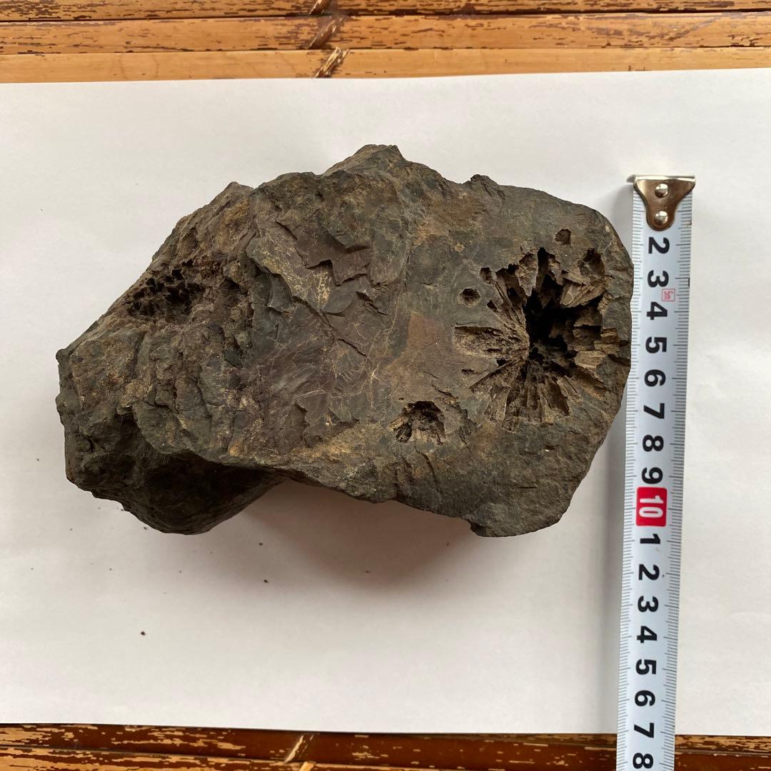 ロボット兵 石　ラピュタ