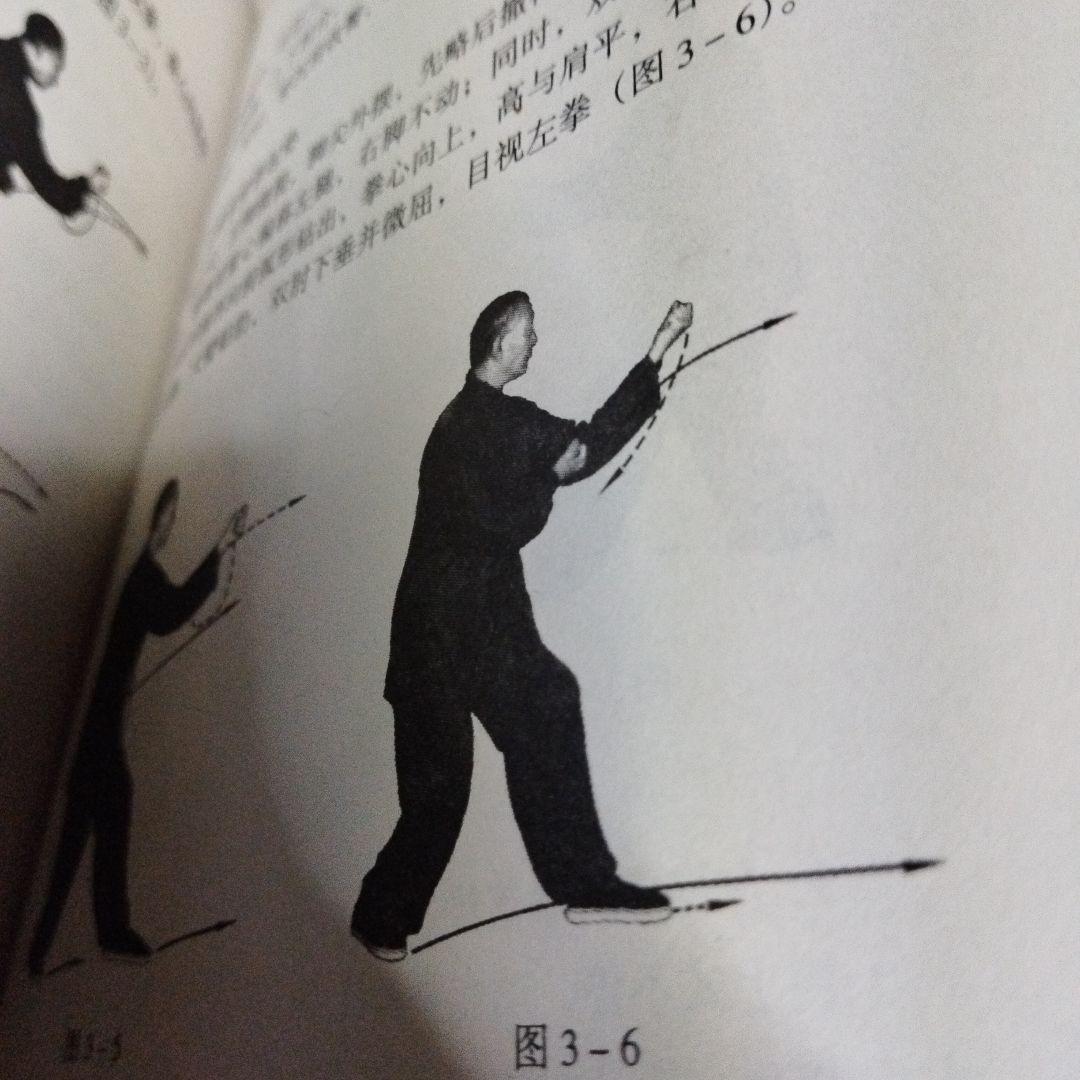 宋氏形意拳続編　上下巻　宋光华ともう一冊セット