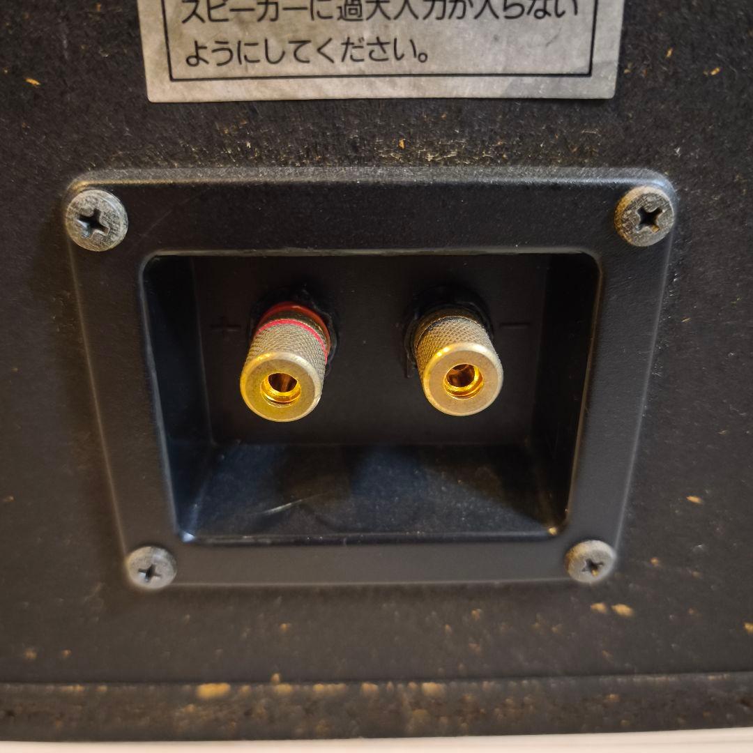 DIATONE DS-G20 ユニット ＋ DS-300V エンクロージャー